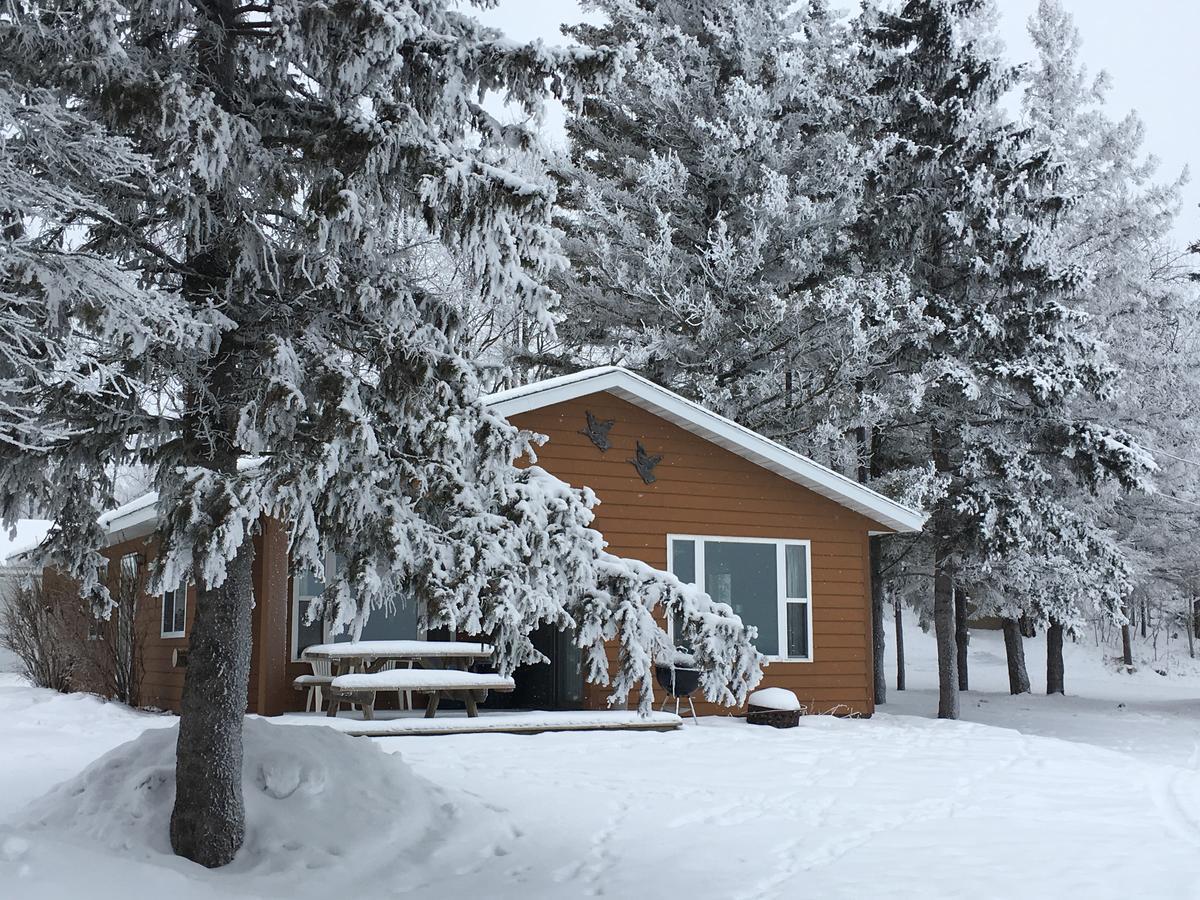 Dunrovin Resort Blackduck エクステリア 写真